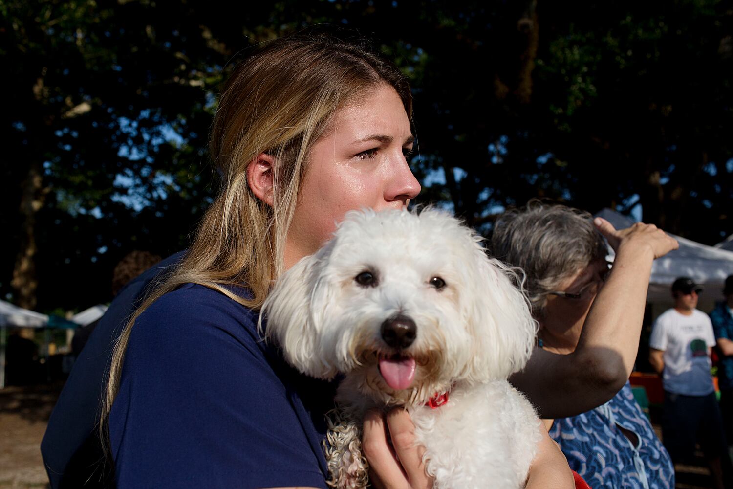 News hounds (7/30/15)