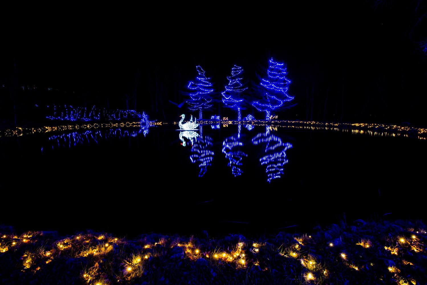 111920 Journey Borealis at Pyramid Hill drive-thru holiday light display