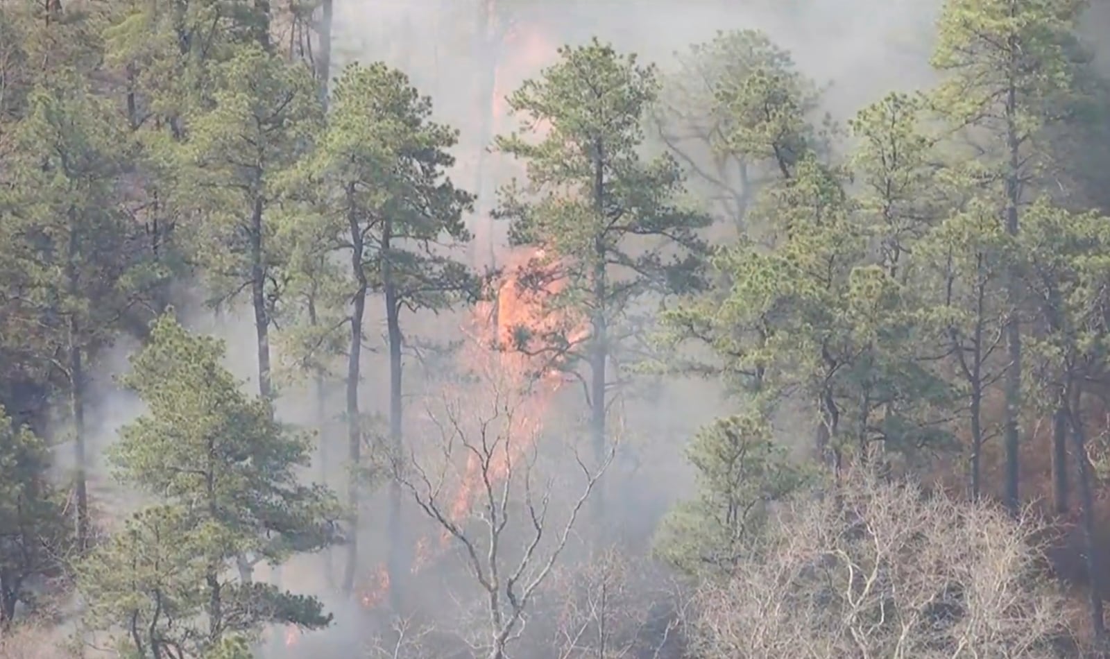 Smoke fills the air from a wildfire in Ocean County, N.J. on Thursday, April 24, 2025. (WPVI-TV via AP)