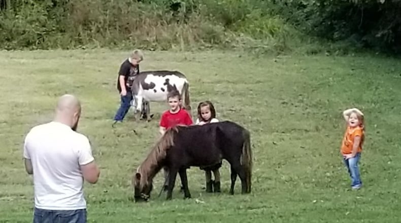 Howard Campbell’s grandchildren play with Simon, a miniature horse. Simon was one of three miniature horses attacked by dogs in St. Clair Twp. CONTRIBUTED Staff Writer