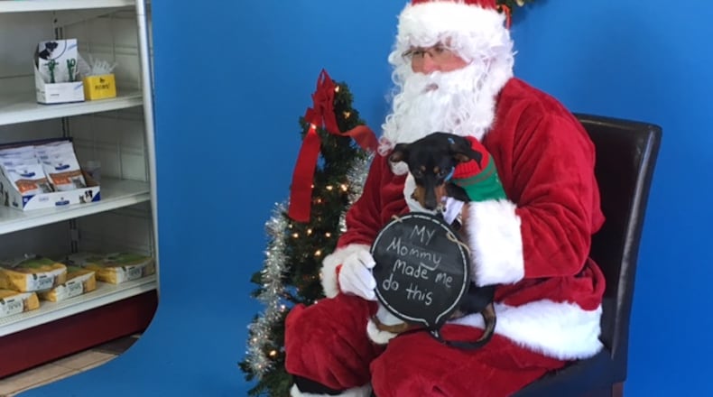 Frankie the Dachshund reluctantly poses with Santa today at West Chester Veterinary Center. LAUREN PACK/STAFF