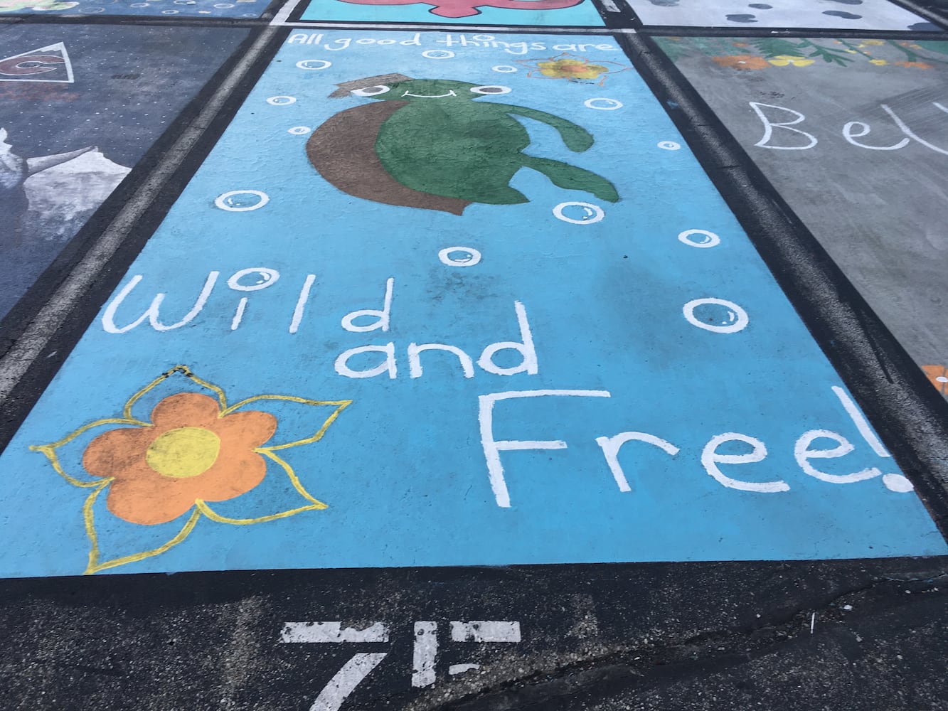 Ross senior parking lot spaces