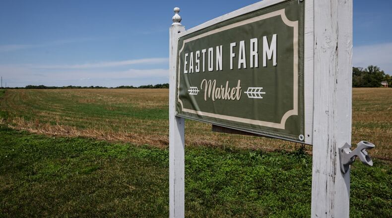 The city of Springboro bought 60 acres of the 103-acre Easton Farm property at 605 N. Main St. (Ohio 741), with 20 of those acres traded with the Springboro Board of Education for a new pre-kindergarten through second-grade school, if voters approve a bond issue on the Nov. 4 ballot. JIM NOELKER/STAFF