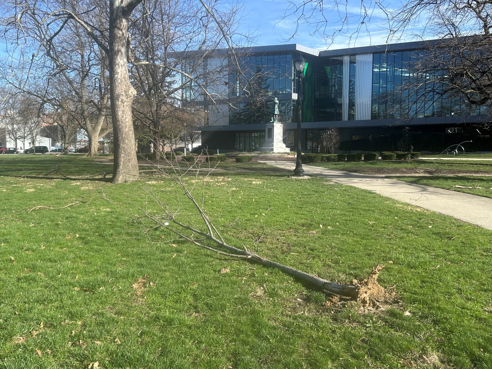A small tree uprooted from winds at the Dayton Metro Library's main branch downtown on Friday, March 13, 2026.

KRISTEN SPICKER / STAFF