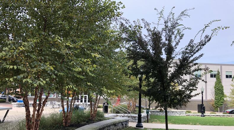 Here are some newly planted trees in the new Rotary Park in Hamilton’s downtown, contributing to the city’s urban forest. MIKE RUTLEDGE/STAFF