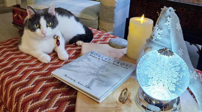 Pip poses for the camera. CONTRIBUTED