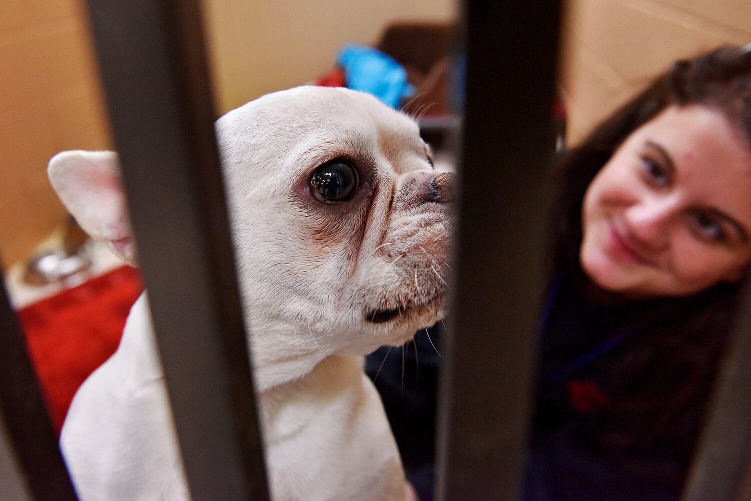 West Chester Pet Resort