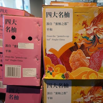 Pomelo citrus fruits imported from Pinghe County, China are sold at various grocery stores. AP PHOTO/DAMIAN DOVARGANES