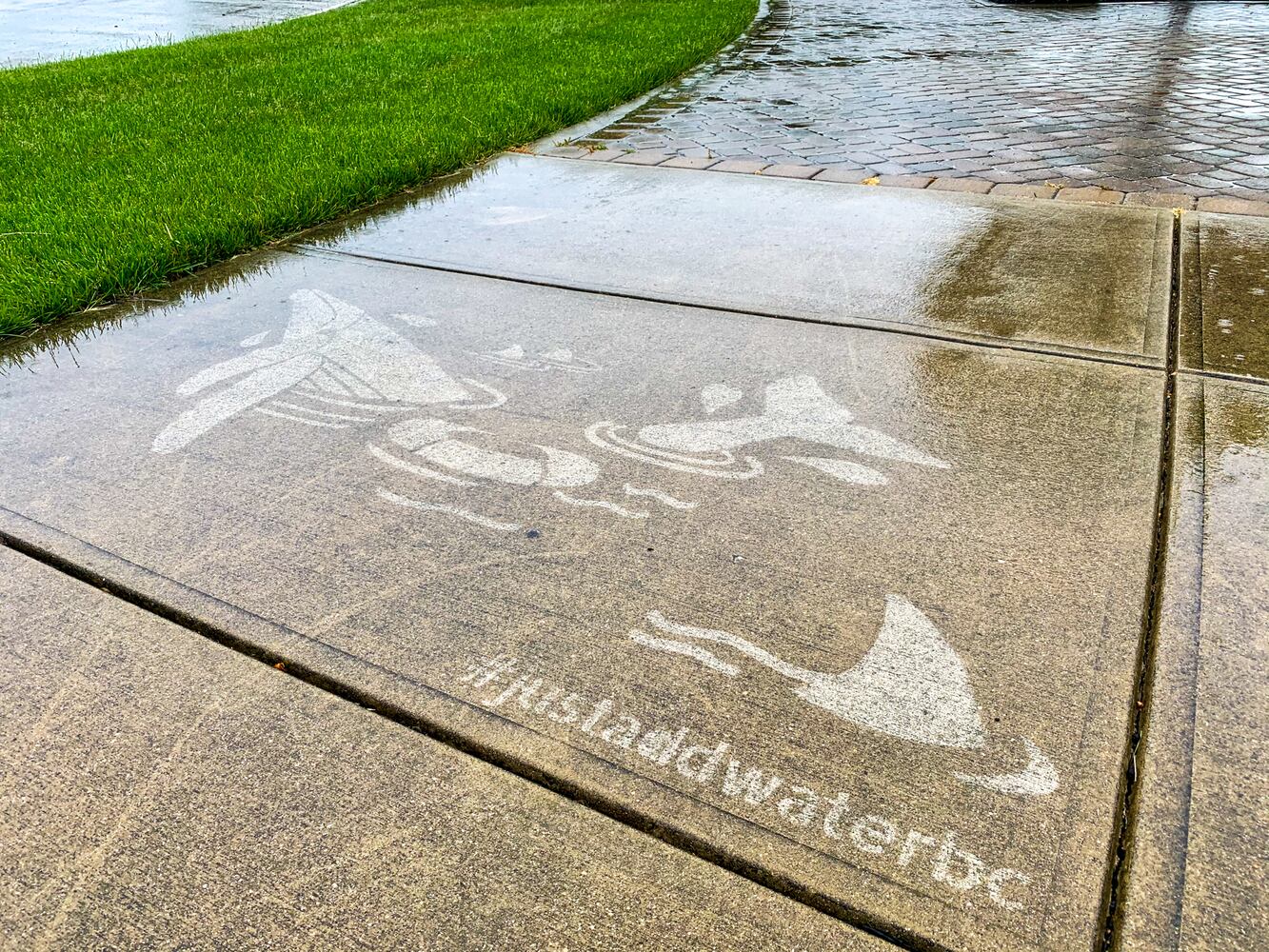 PHOTOS: Just Add Water