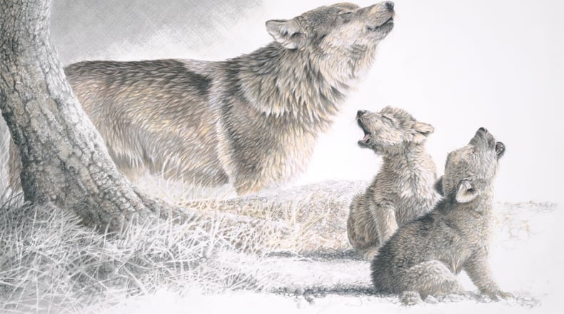 "The Wildlife Art of Christopher B. Walden" is exhibiting at the Middletown Arts Center until oct. 19, 2023. This is one of Walden's works. CONTRIBUTED