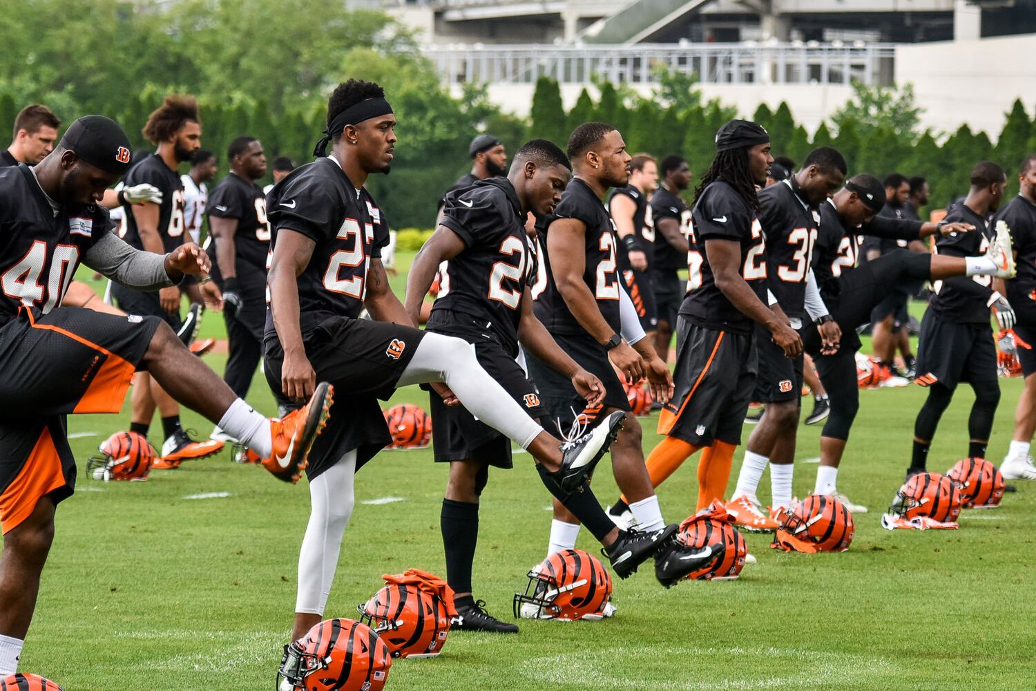 Cincinnati Bengals OTA