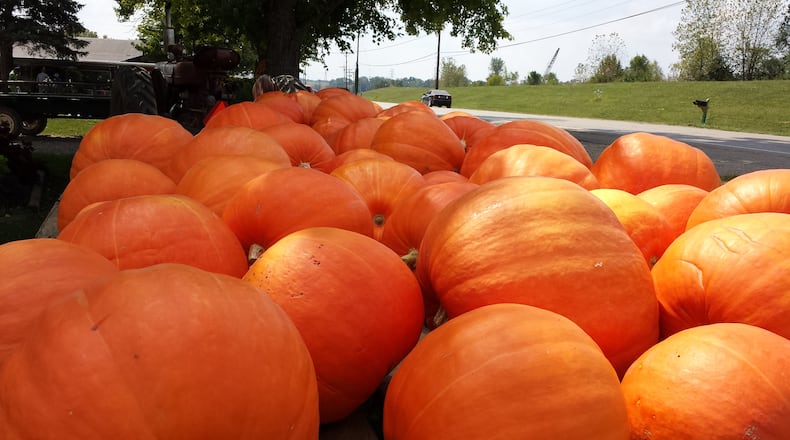 There are pumpkins galore to choose from at Brown’s Family Farm Market. CONTRUBUTED