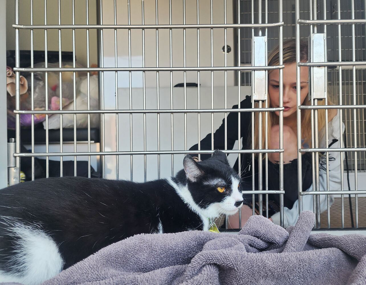 052523 animal Friends donation