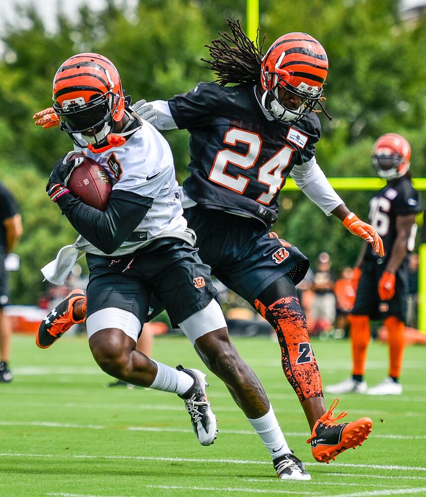 Bengals Training Camp Day 1