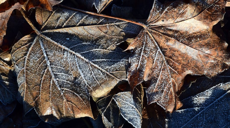 Tuesday Morning Patchy Frost Possible
