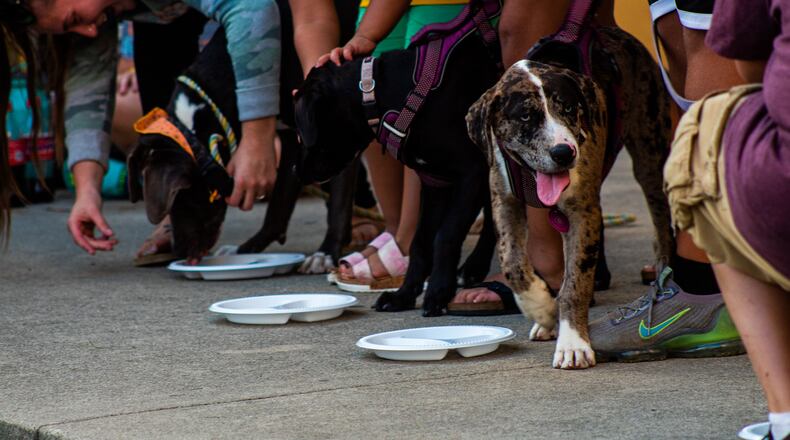 Dog Day Downtown will be 5-8 p.m. Friday, Sept. 15, 2023 in Middletown. Pictured are participants at a previous Dog Day Downtown event. CONTRIBUTED