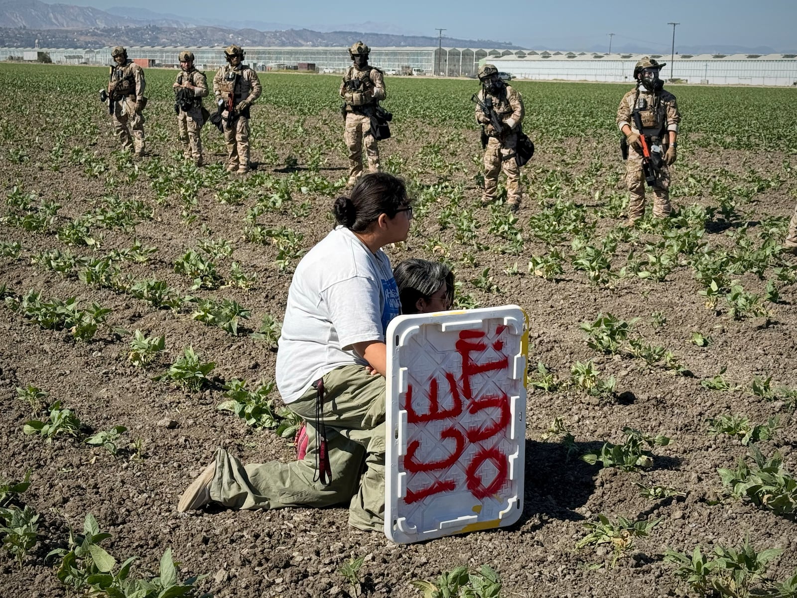 A demonstrator kneels in front of federal agents in a farm field during an immigration raid in Camarillo, Calif. (AP Photo/Michael Owen Baker)