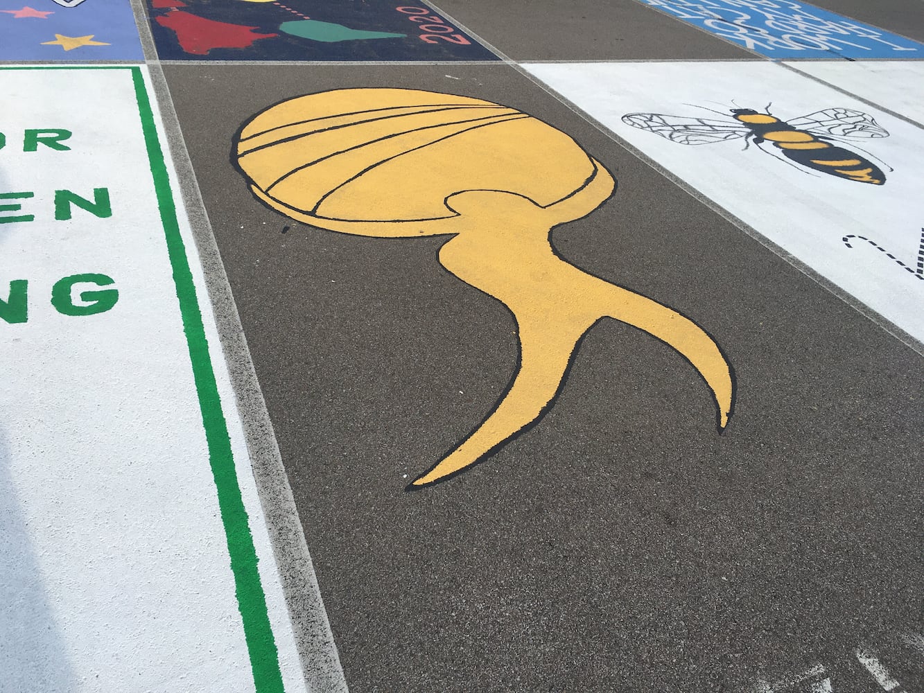 Lakota West High School parking lot spaces