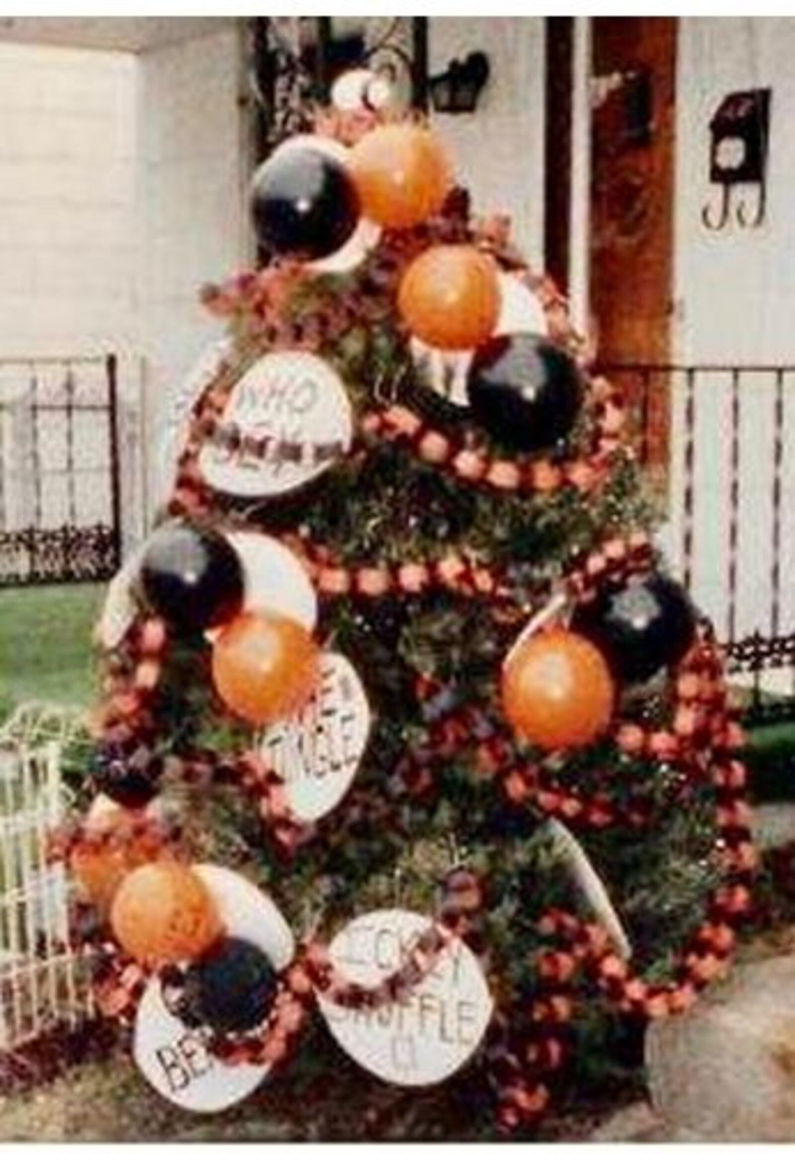 Craft family Bengals tree on Ross Avenue in 1982. SUBMITTED