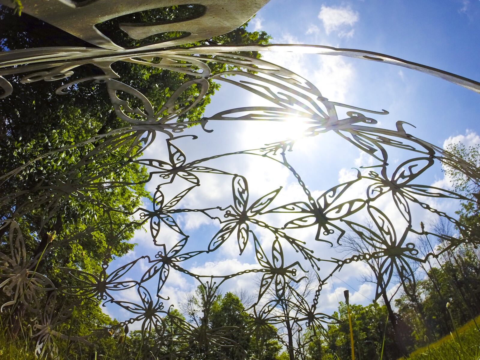 Dragonfly Dome at Pyramid Hill Sculpture Park in Hamilton.