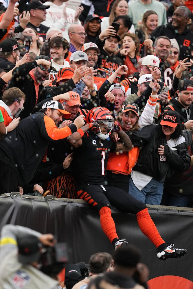 Cardinals Bengals Football