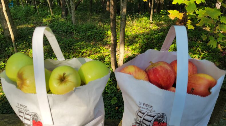 Apples are the focus of area fall festivals. CONTRIBUTED