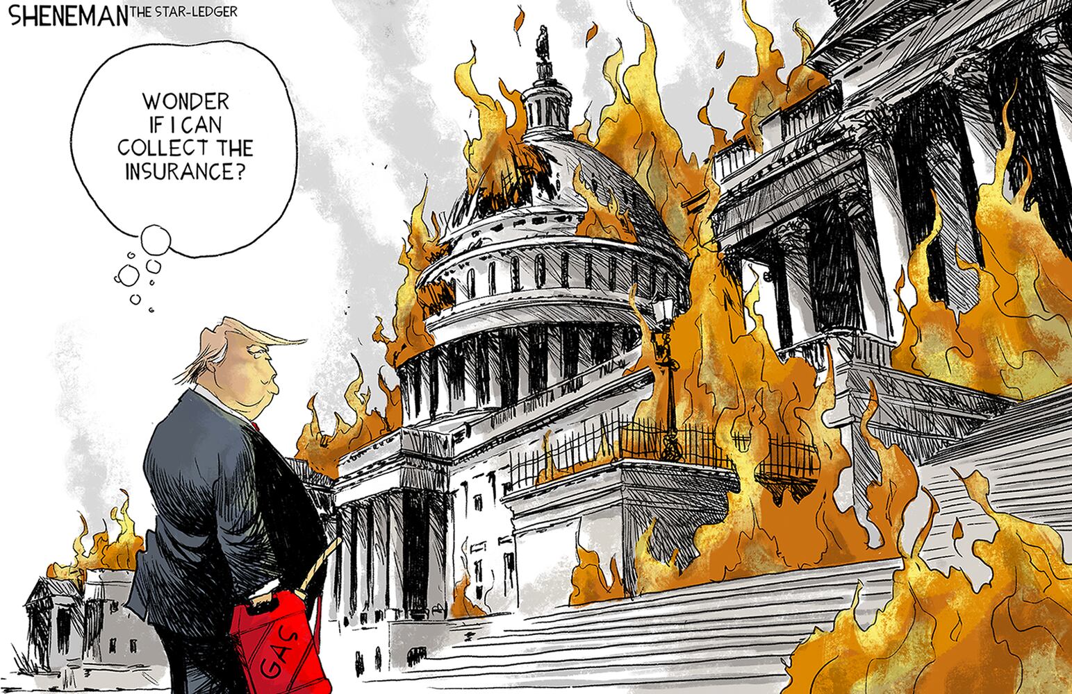 Week in cartoons: Georgia election, Capitol riots and more