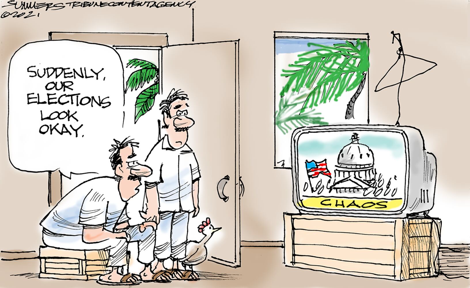 Week in cartoons: Georgia election, Capitol riots and more