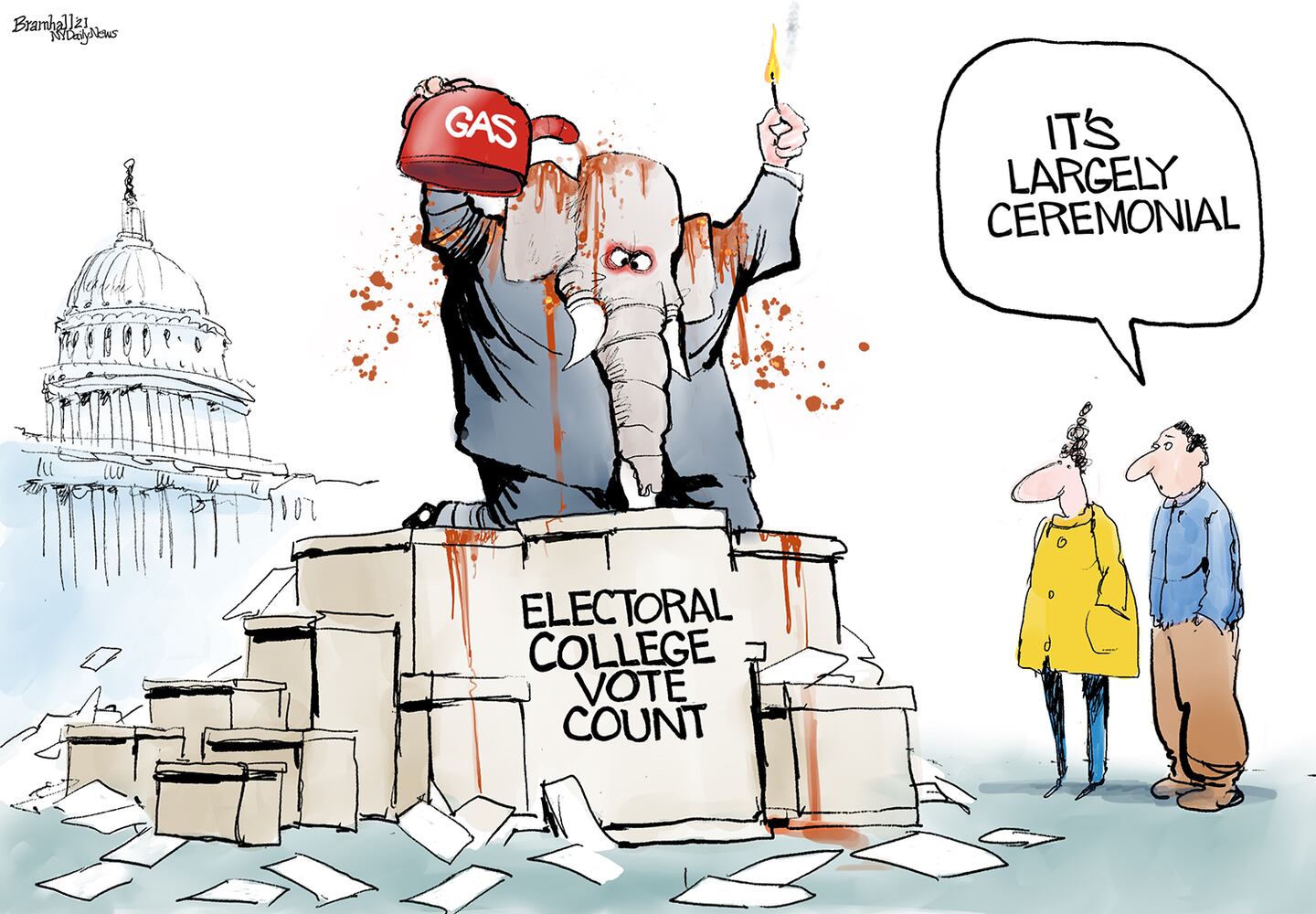 Week in cartoons: Georgia election, Capitol riots and more