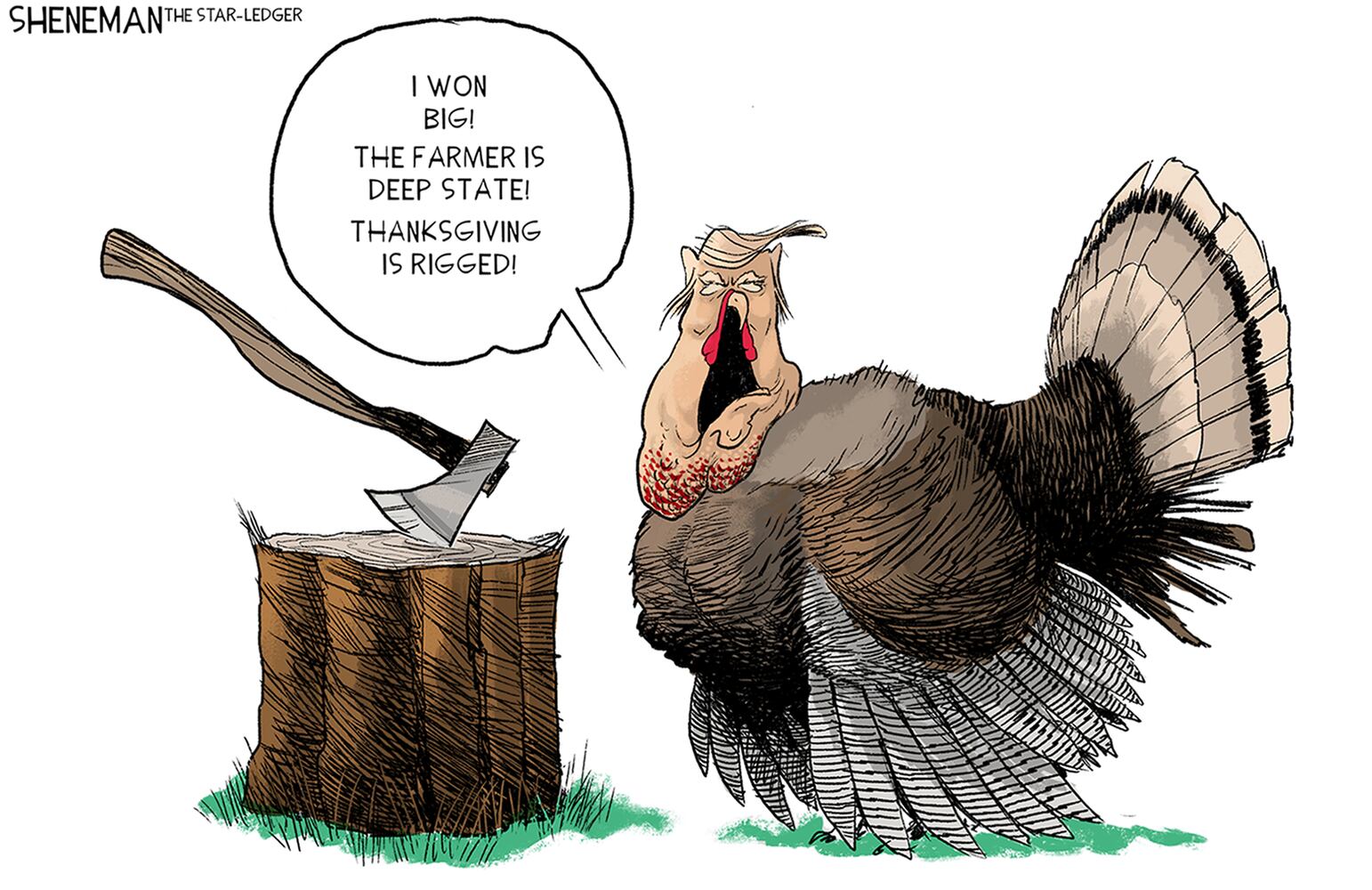 Week in cartoons: Thanksgiving, lockdowns and more