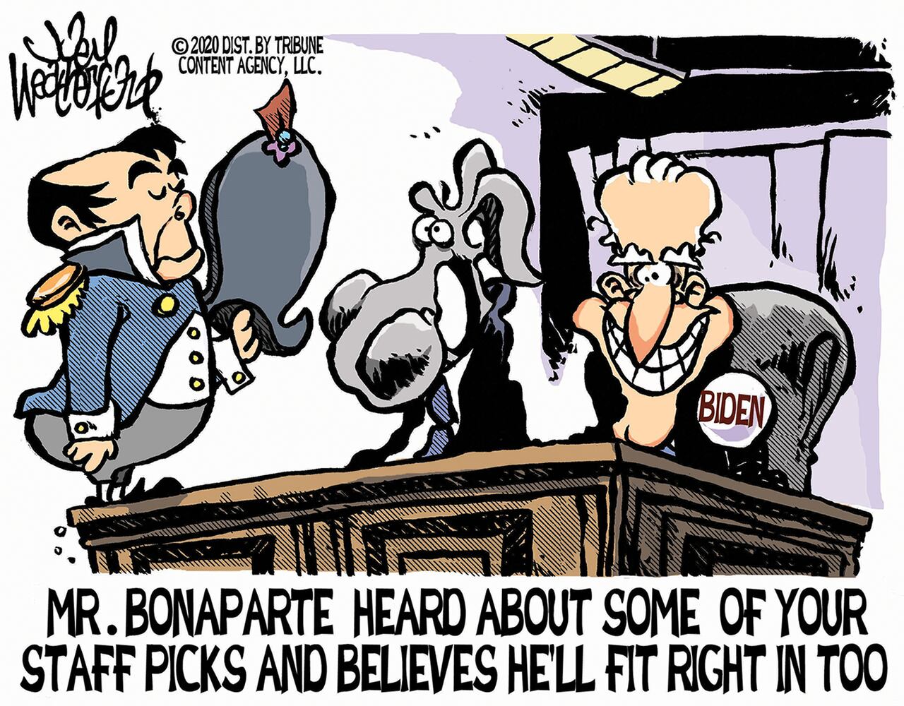 Week in cartoons: Georgia election, Capitol riots and more