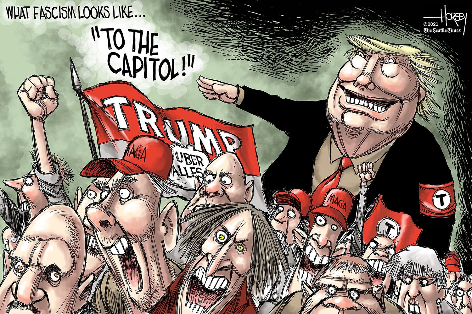 Week in cartoons: Georgia election, Capitol riots and more