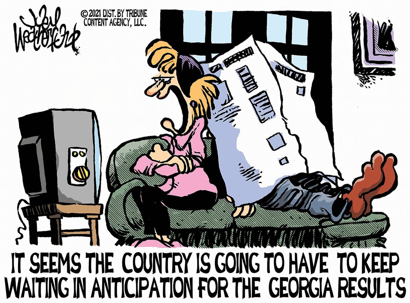 Week in cartoons: Georgia election, Capitol riots and more