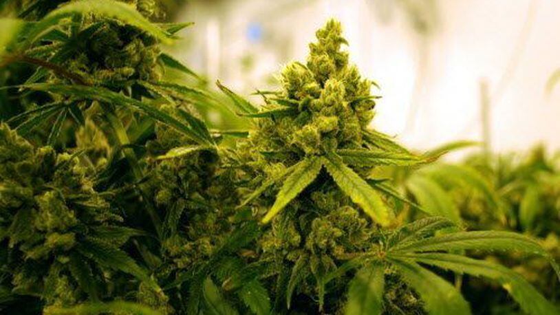 Liberty Twp. officials have expressed concerns that the township’s growth may attract medical marijuana businesses. That concern has prompted them to extend the township’s temporary ban on medical marijuana businesses an additional six months. (JACKIE BORCHARDT/ADVANCE OHIO MEDIA)