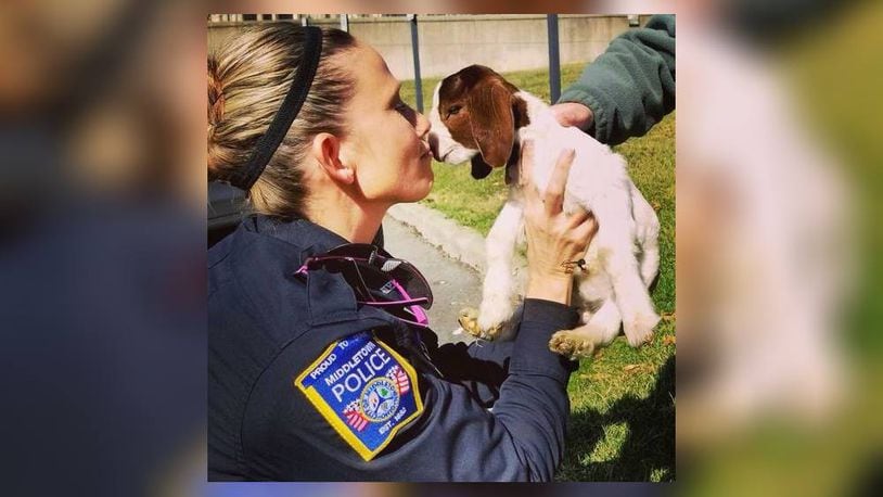 A goat visited the Middletown police department on Tuesday, March 8, 2018. MIDDLETOWN POLICE FACEBOOK PAGE