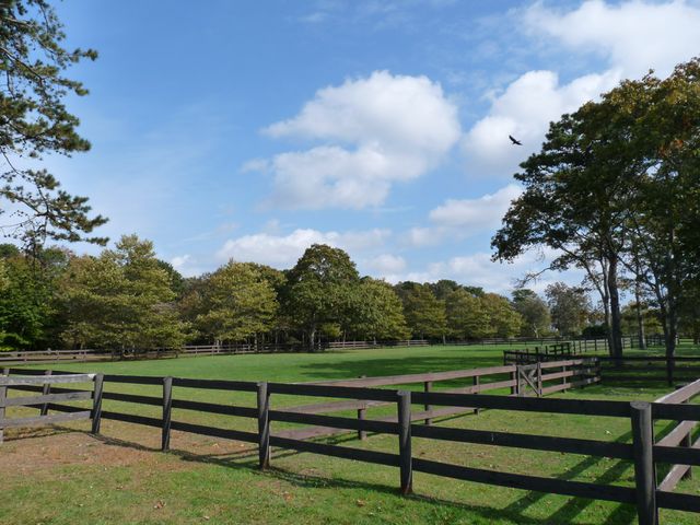 Family stayed at Blue Heron Farm in Martha's Vineyard in 2009-2011