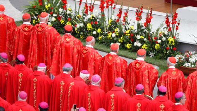 Cardinals and bishops follow Pope Francis as he presides over Mass for the Solemnity of Pentecost, in St. Peter's Square at the Vatican, Sunday, June 4, 2017. (AP Photo/Gregorio Borgia)