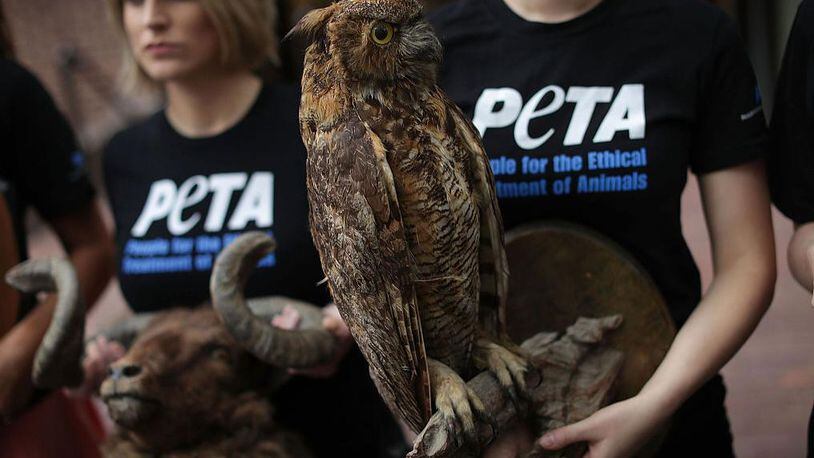 Members of PETA want the public to give a hoot about using more animal-friendly phrases.